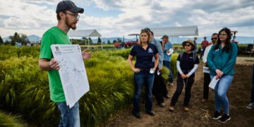 Montana State College of Agriculture announces annual summer field day series