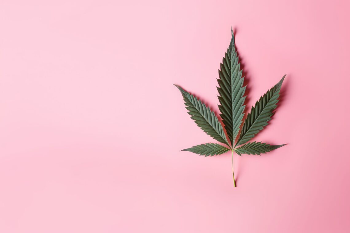 Montana may see halt in cannabis licenses after proposal