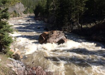 Search and Rescue responds to distressed rafters in Gallatin River 