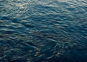 Every Drop Counts: Consider the heat when it comes to summer activities 