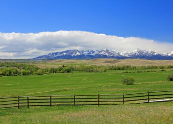 Letter to the Editor: East Crazy Inspiration Divide Land Exchange can improve rangelands management  