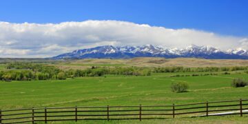 Letter to the Editor: East Crazy Inspiration Divide Land Exchange can improve rangelands management  