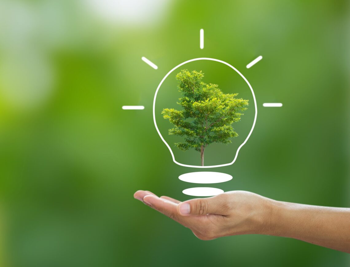 EcoStar Award applications and nominations due Aug. 15