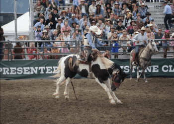 Fueled by crowd’s energy, athletes compete in Big Sky Community Rodeo