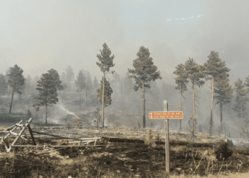 Horse Gulch Fire sees more than 200% increase in deployed personnel