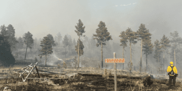 Horse Gulch Fire sees more than 200% increase in deployed personnel