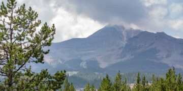 Wellness Coalition sues Madison County over controversial failed petition 