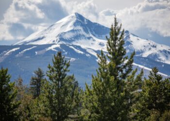 LMLC launches ‘Big Sky Facts’ with Big Sky Chamber to combat misinformation 