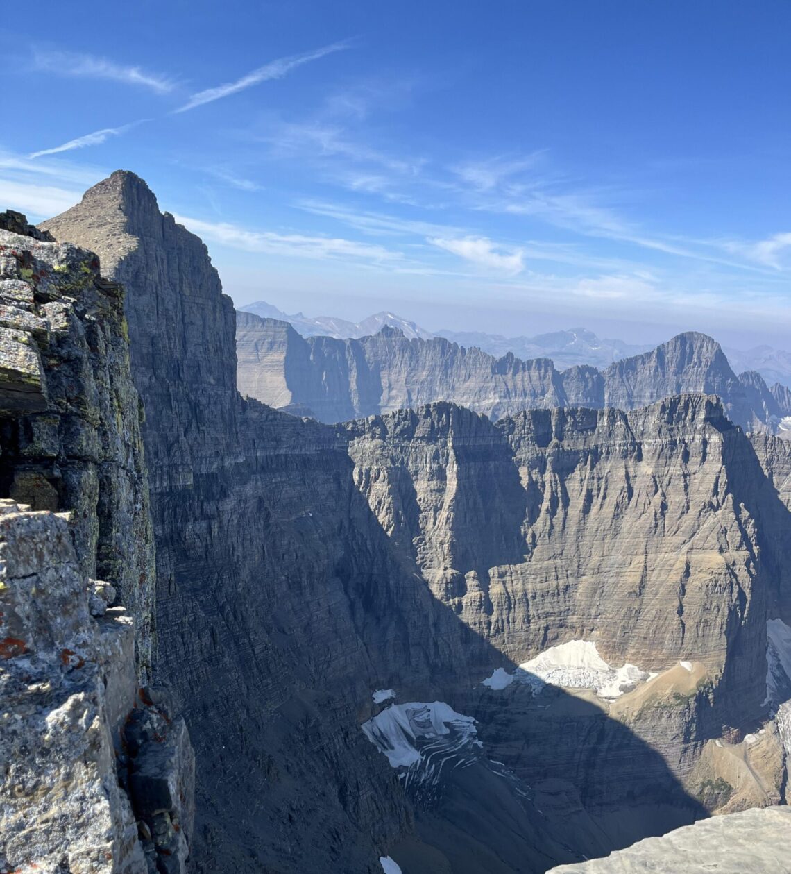 Dispatches from the Wild: What is love?