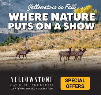 Yellowstone National Park Lodge