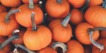 Halloween events: How to get spooky in Big Sky