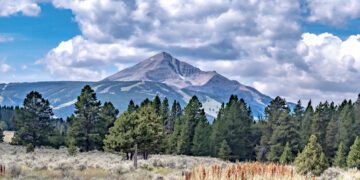 Letter to the Editor: Local governance study 