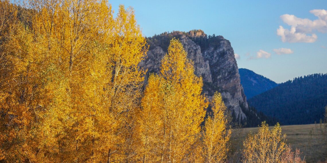 Let’s Talk About Mental Health: A breath of fall 