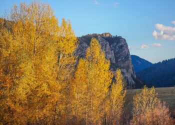 Let’s Talk About Mental Health: A breath of fall 