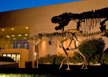 Name contest ensues for Museum of the Rockies’ new cafe