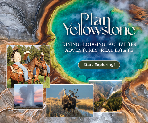plan yellowstone