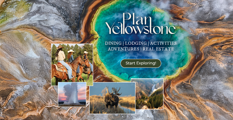 plan yellowstone