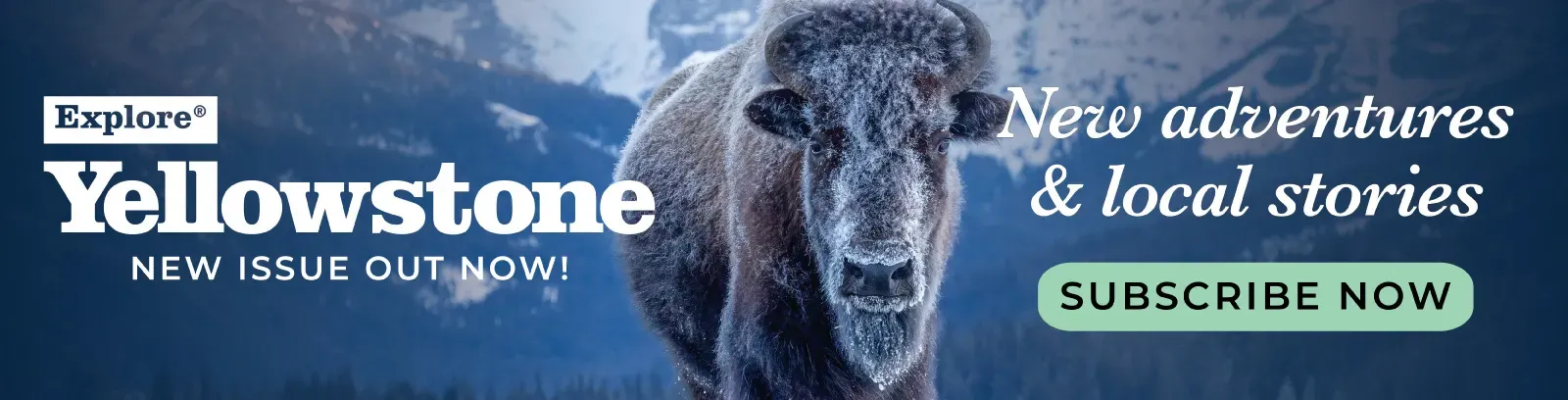 New 2026 Explore Yellowstone issue is out now!