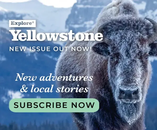 New 2026 Explore Yellowstone issue is out now!