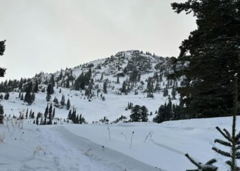 Skier caught in avalanche at Bridger Bowl