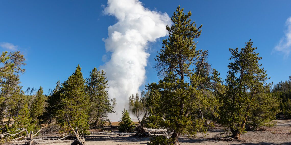 What did Yellowstone National Park look like before it became wonderland?