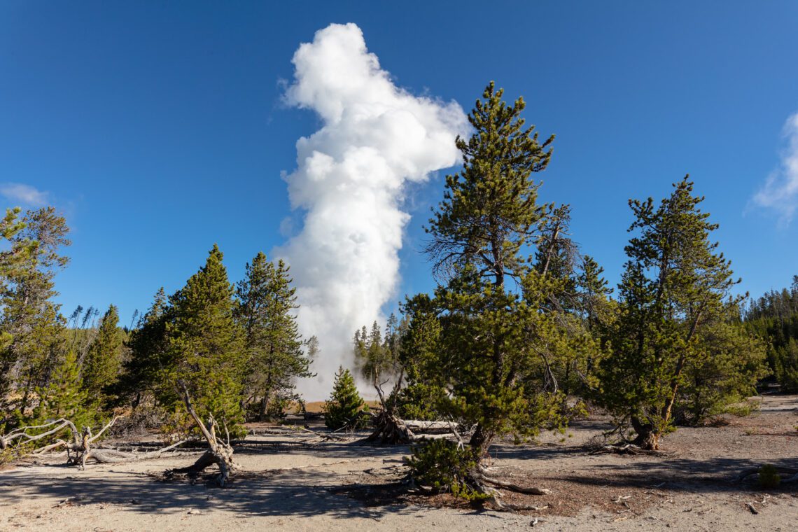 What did Yellowstone National Park look like before it became wonderland?