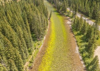 Every Drop Counts: Algae blooms on the Smith River offer clues about similar blooms on the Gallatin  