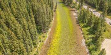 Every Drop Counts: Algae blooms on the Smith River offer clues about similar blooms on the Gallatin  