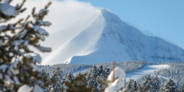 Local gov. study releases educational tool: ‘Just play with it’ 