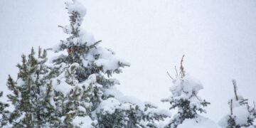 Slow and steady, spring snowpack is approaching seasonal median 