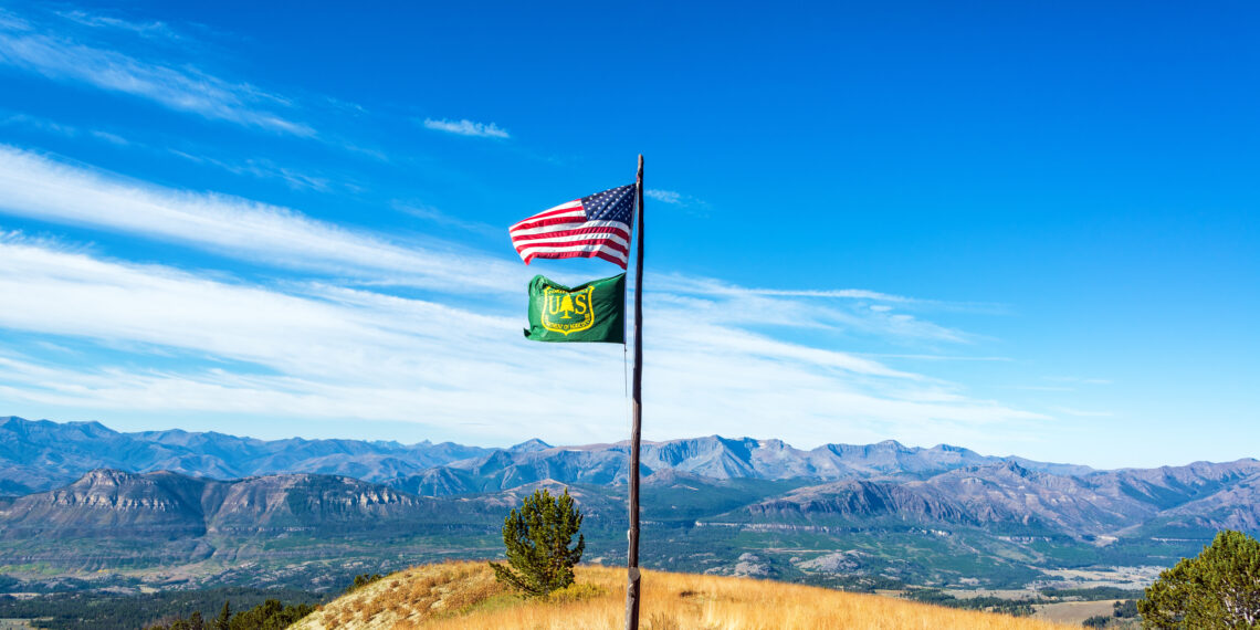 Mass firings cut the muscle, not the fat 