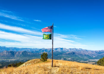 Mass firings cut the muscle, not the fat 