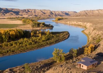 Dispatches from the Wild: The land transfer movement resurrected 