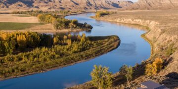 Dispatches from the Wild: The land transfer movement resurrected 