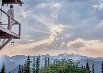 Dispatches from the Wild: Losing your federal job 