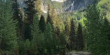 The gutting of our national park system