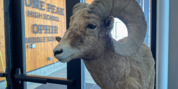 State of the School Part III: A path forward 