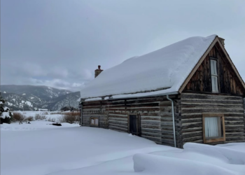 Thriving Landscapes: winter landscape challenges and how to manage them