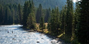 Every Drop Counts: Federal layoffs and loss of federal funding create a ripple effect here at home