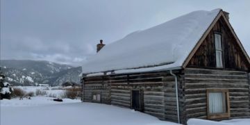 Thriving Landscapes: winter landscape challenges and how to manage them