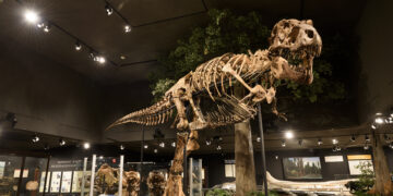 Museum of the Rockies announces winners of café naming contest  