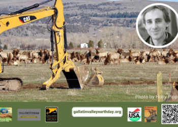 ‘How Can We Save The Mini-American Serengeti?’: Museum of Rockies to host April 9 talk