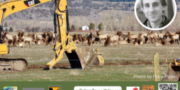 ‘How Can We Save The Mini-American Serengeti?’: Museum of Rockies to host April 9 talk