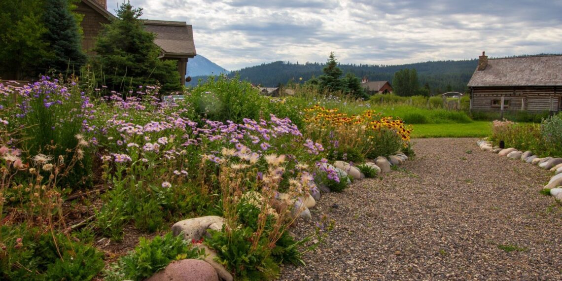 Every Drop Counts: Spring into action by planning your water-wise landscape 