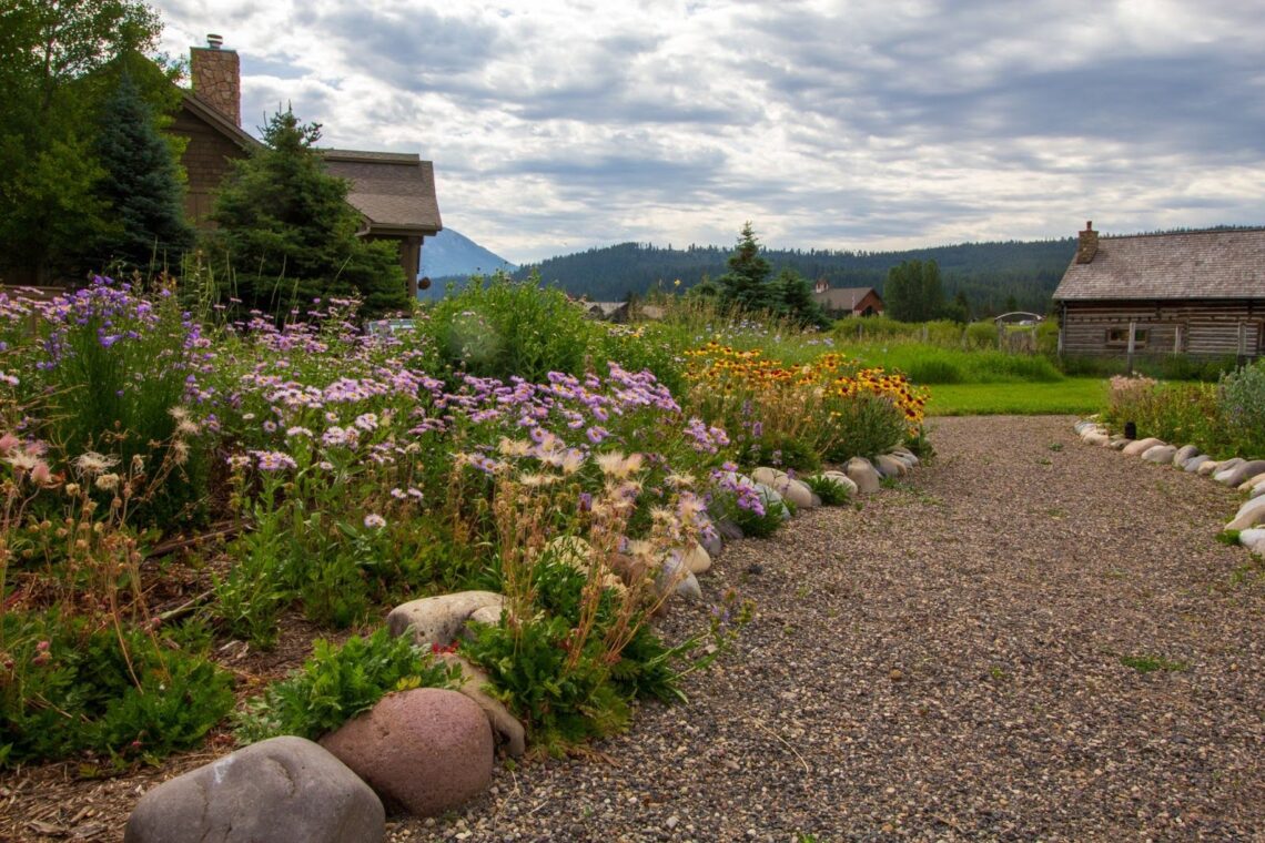 Every Drop Counts: Spring into action by planning your water-wise landscape
