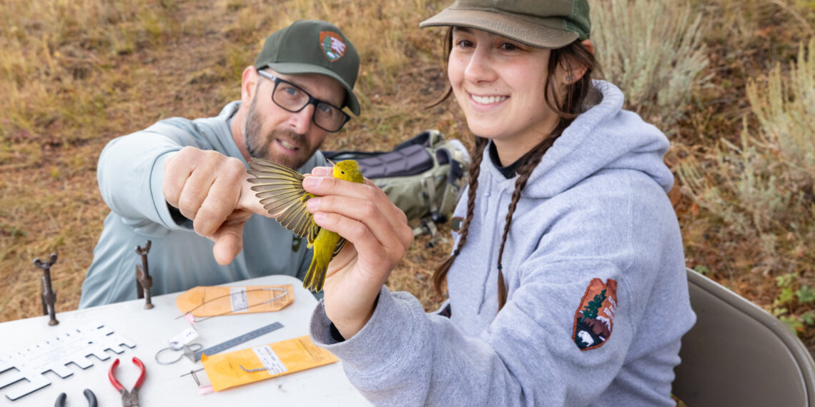 Dispatches from the Wild: An ode to science 