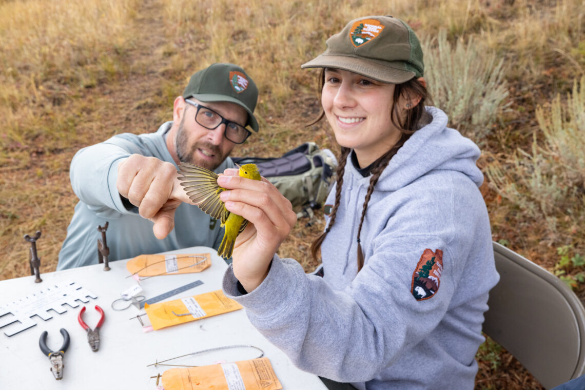 Dispatches from the Wild: An ode to science