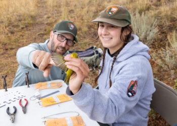 Dispatches from the Wild: An ode to science 