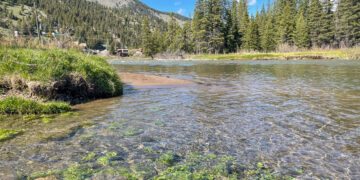 GRTF leads project to honor Steve Johnson with riverside memorial 