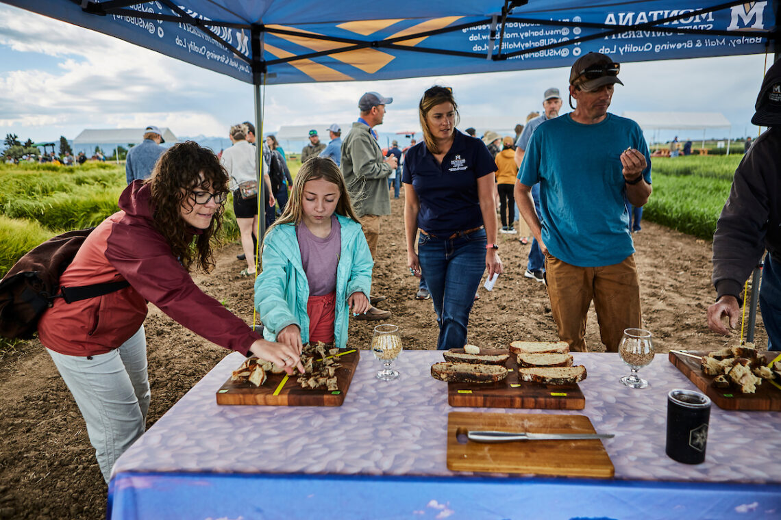 Annual Montana State field days kick off June 18